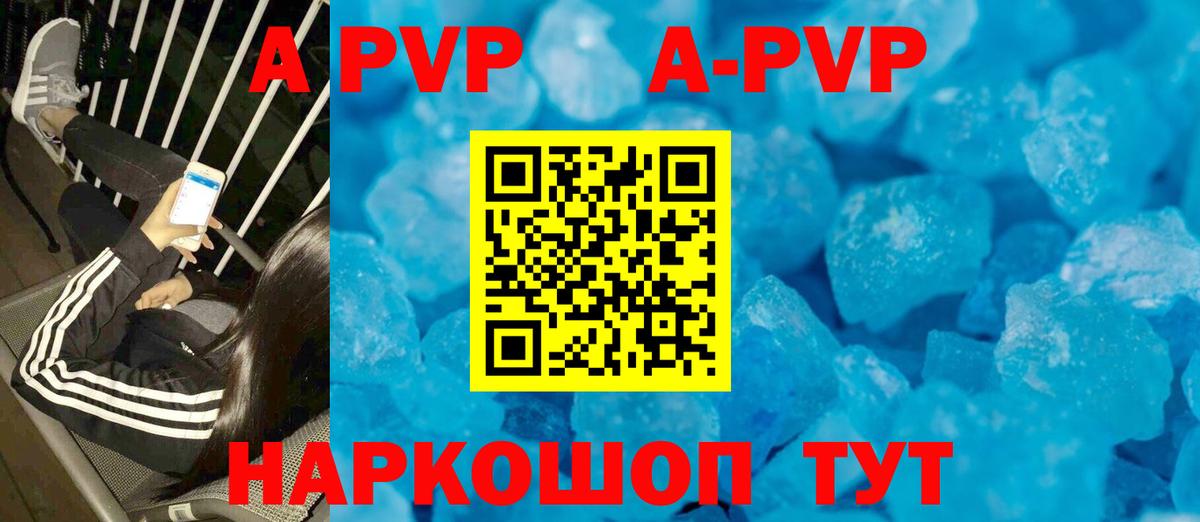 Alfa_PVP СК Тамбов