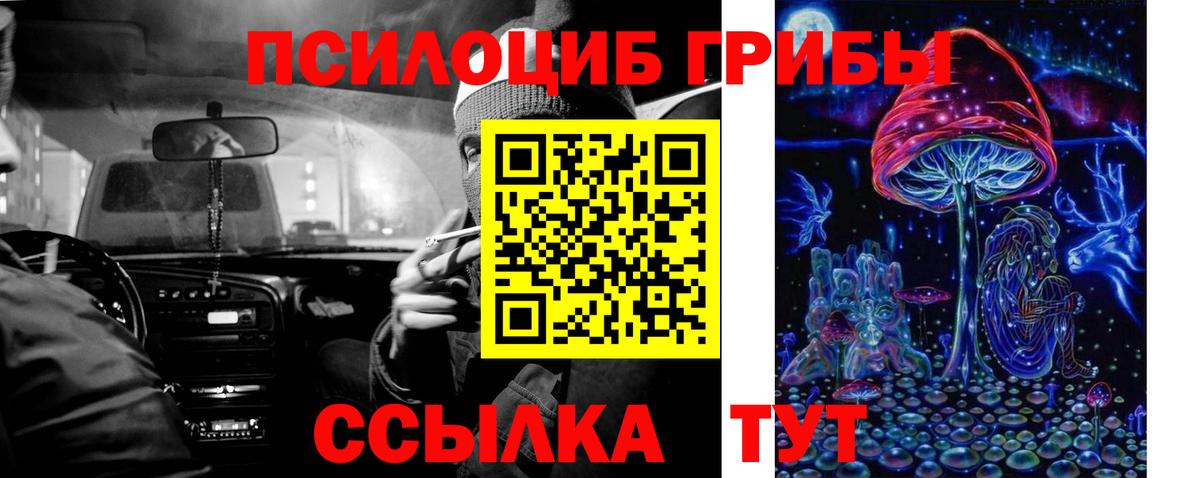 Галлюциногенные грибы прущие грибы Тамбов